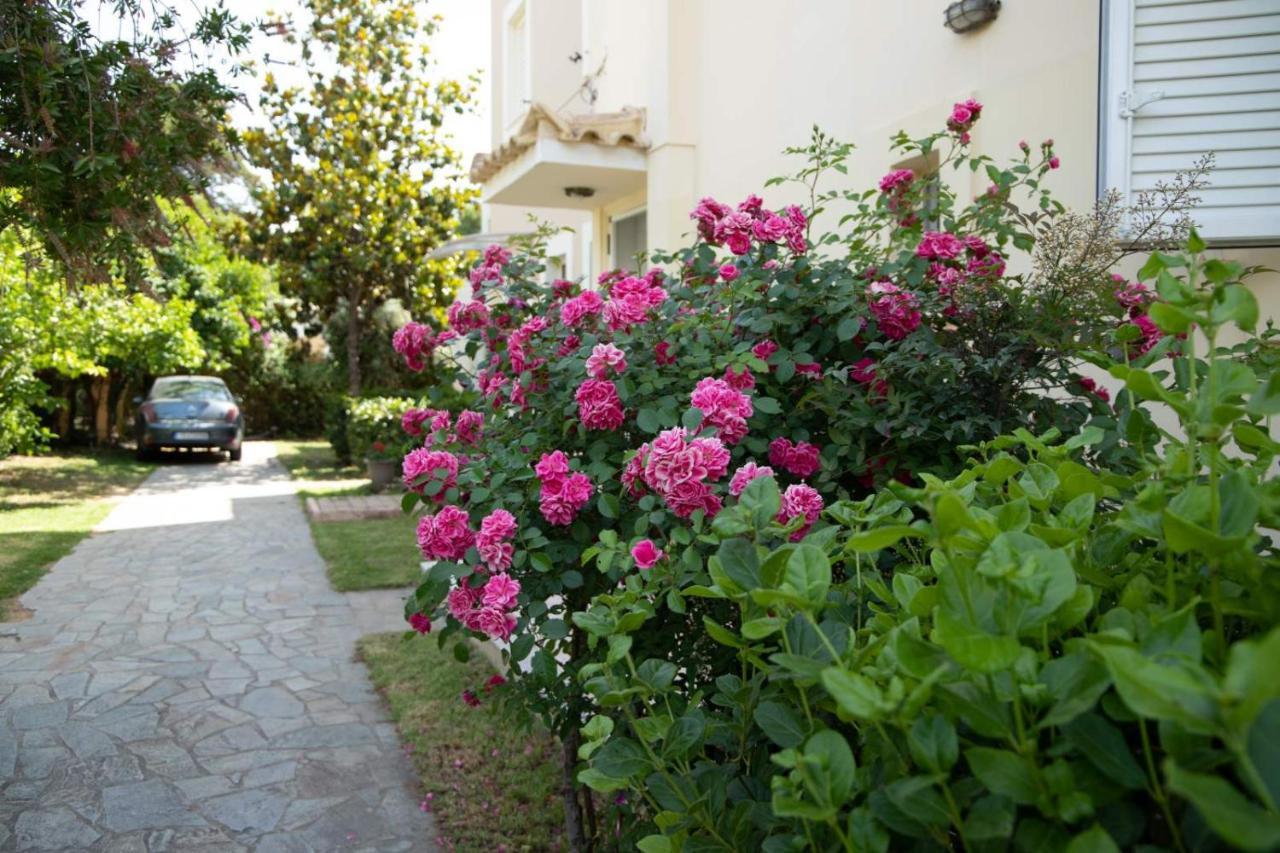 Palaiohora Avias Apartments Екстериор снимка