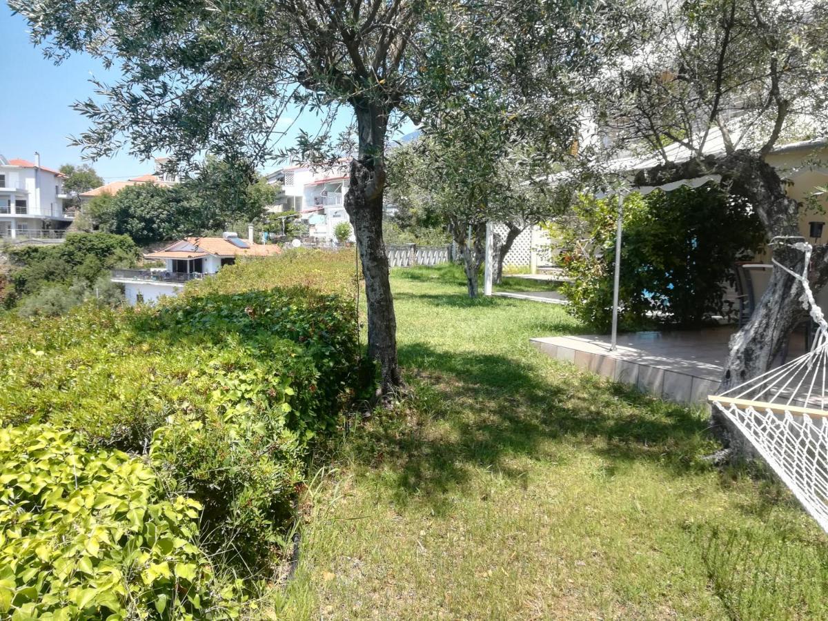 Palaiohora Avias Apartments Екстериор снимка